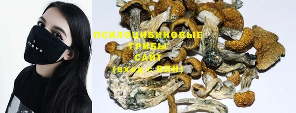 мдпв Вязники