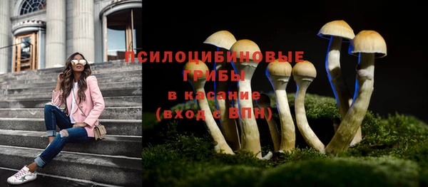 не бодяженный Приозерск
